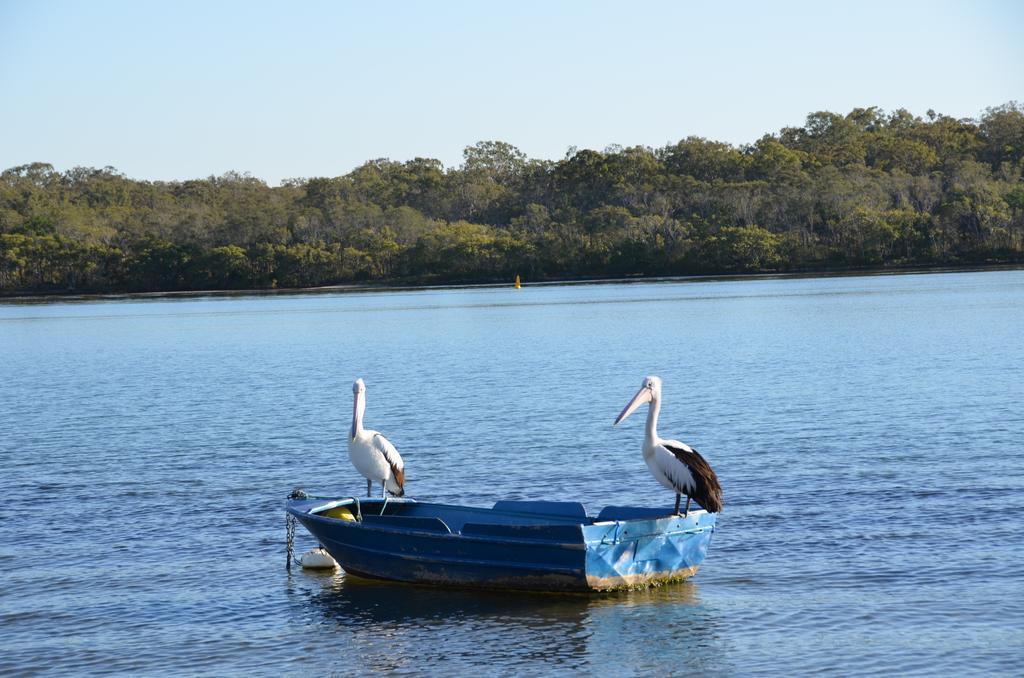 Appartamento Bayz On The River Maroochydore Esterno foto